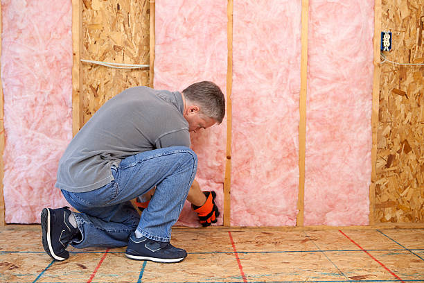 Best Insulation Installation Services in La Porte, TX