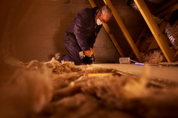 Best Insulation for Specific Applications in La Porte, TX